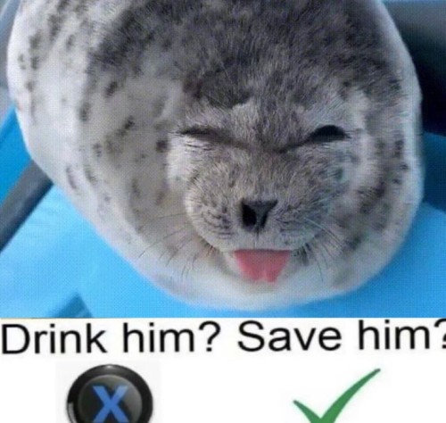 There R Too Many Seals In My Pinterest .. I See Them And Think CHI !
