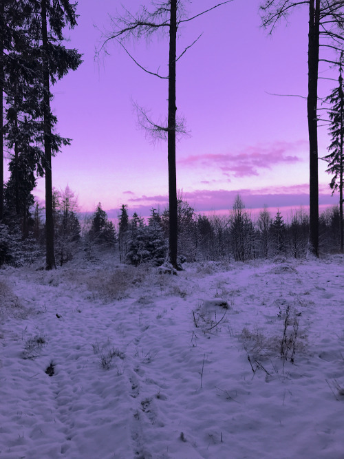 duettaeann: Cotton candy winter sky