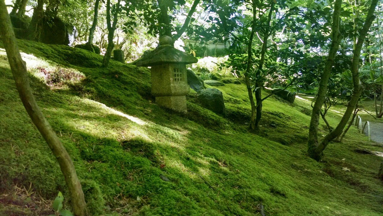txepvi:  Some more of the Japanese gardens!