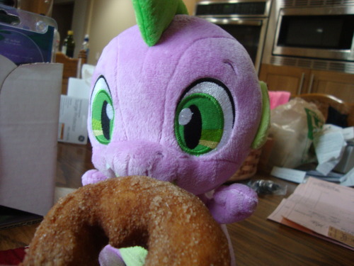 slice-of-life-twilight:  Spike: ‘Munch’ Muh faforite rom ish the kishen! ‘Munch’ Twilight: What Spike means to say is that he loves the kitchen. Gems are a rarity in the human world, so he has been trying to make due by sampling their edible