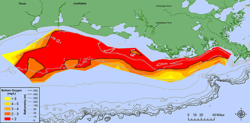  Fertilizer Run Off Produces Oxygen Depleted Dead Zones in the Oceans Gulf of Mexico dead zone is th