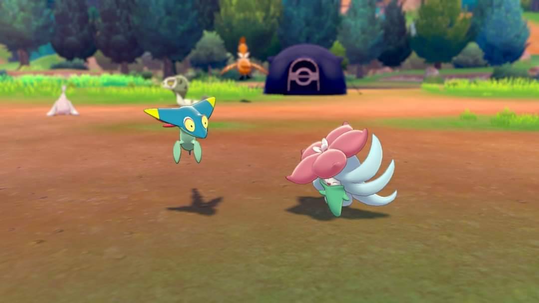 After almost 3 weeks of hunting, I finally found an adorable Shiny Toxel. :  r/PokemonSwordAndShield