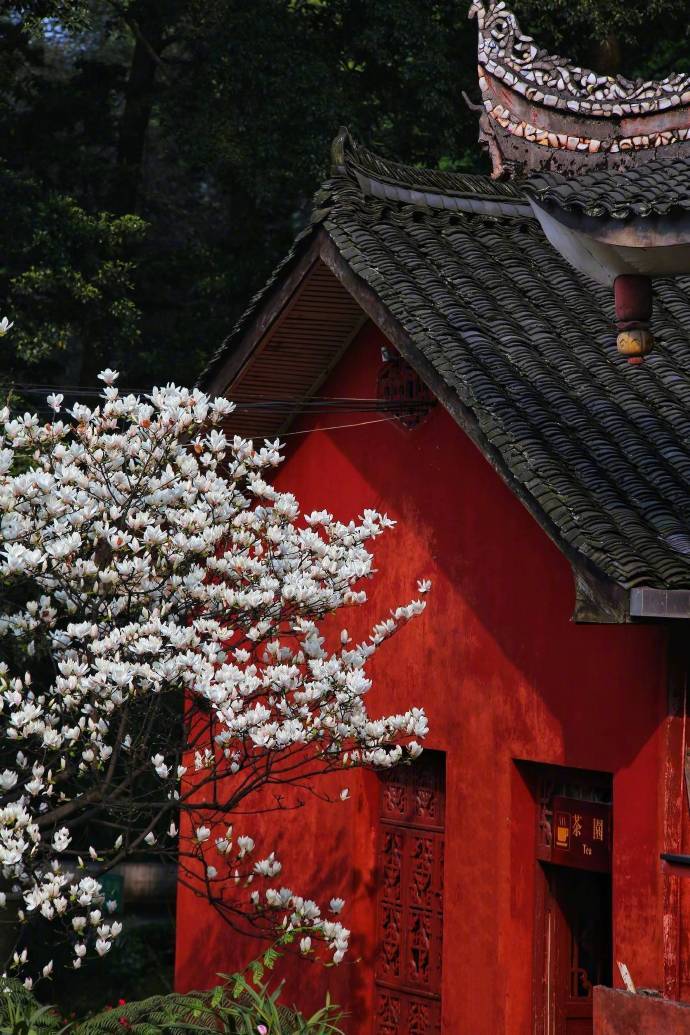 fuckyeahchinesegarden:chinese architecture