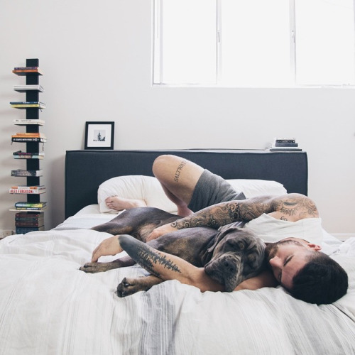 americanbullyuniverse:  Photo 