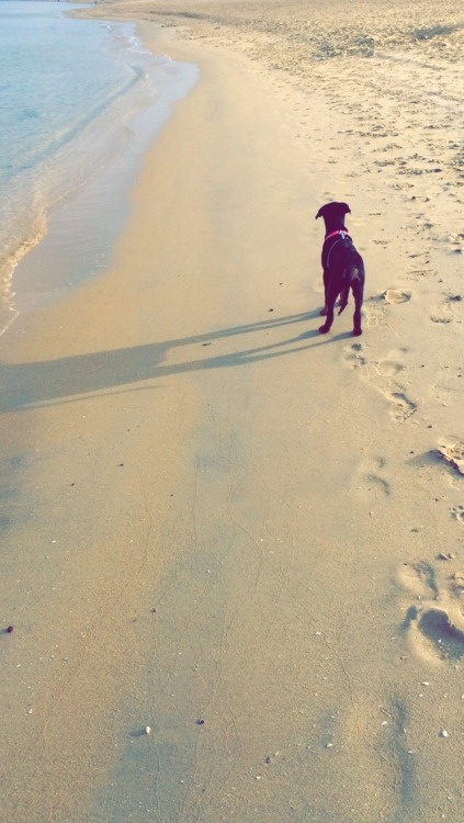 yourrchaos:  ☀️