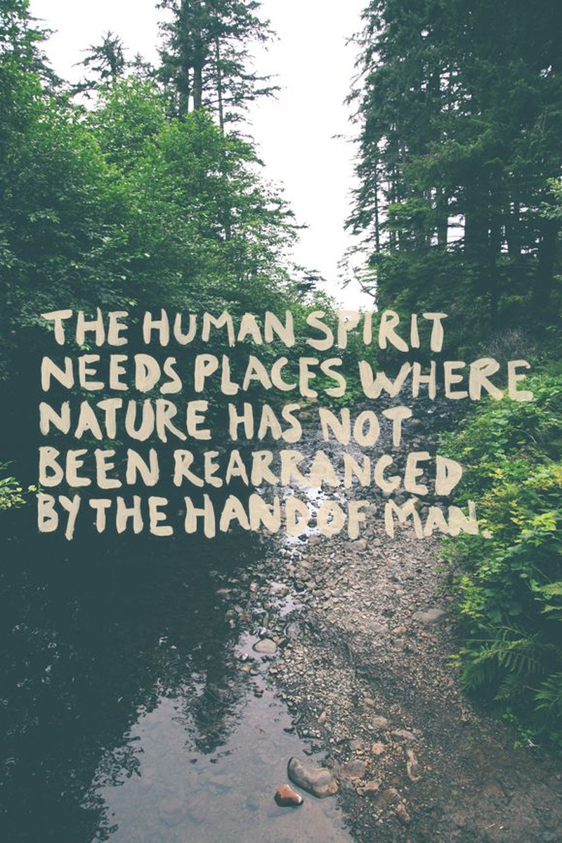 Tumblr Quotes - The human spirit needs places where nature has not...