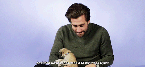 Ryan Reynolds is going to receive a very cute gift from Jake Gyllenhaal