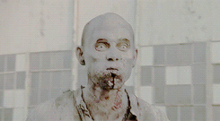 shadesofdixon:  TWD Meme: [2/3] Walker Kills → Michonne [Say The Word]