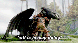 dreamworksdaily:   Toothless: a summary.   