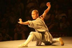 taichicenter:  Tai chi is not only a kind