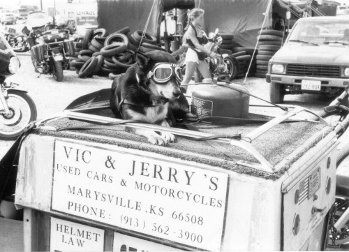 stanandcharleyandfriends:Sturgis, South Dakota, August 1991: biker dog