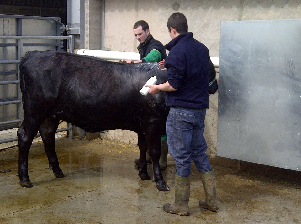 farmboy84hh:  by countrybumpkin884 http://flic.kr/p/hkA8eq 
