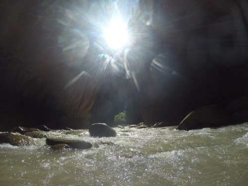 Zion National Park Part II Yesterday we woke up early and hiked The Narrows. Which was probably the 