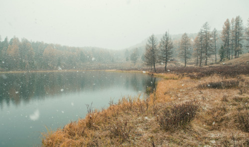 expressions-of-nature: Altai Mountains by Vladimir Lipetskih