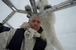 photojojo:  This photographer was attacked by a polar bear while shooting a documentary for the BBC in Norway! Fortunately, he was in a pod that let him see out. You can now add polar bear selfie to your photo bucket list. Photographer Captures What a