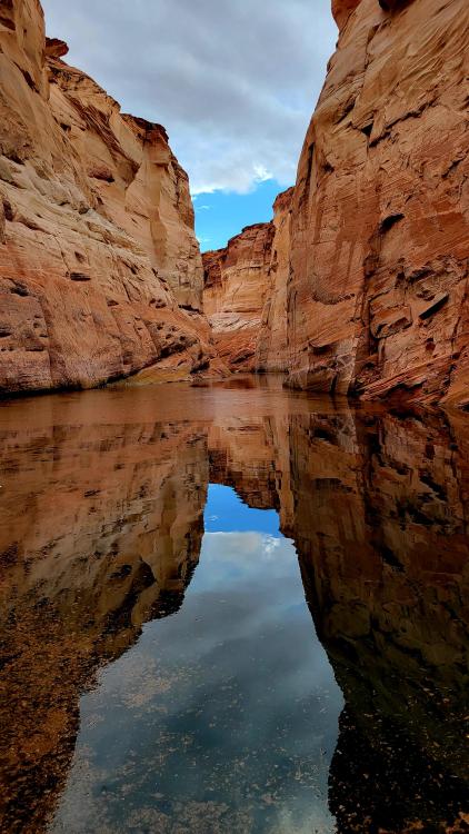 amazinglybeautifulphotography:  Antelope Canyon, Page, AZ, [OC], 2268 x 4032 - Author: edelweiss45 on Reddit