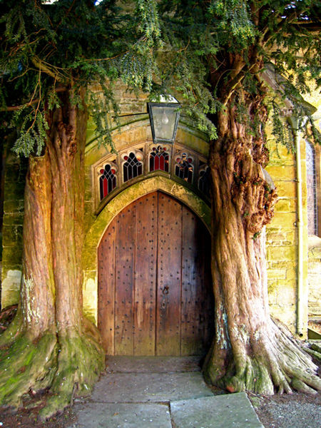 chasing-yesterdays:Stow-on-the-Wold, St. Edwards’s Parish Church. With two ancient yews.Source