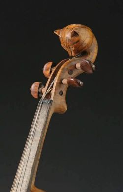 wasbella102:  Cat Head ViolinUnidentified