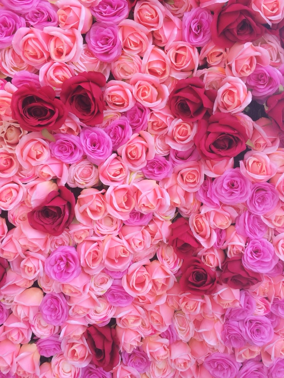 bonus:  flower power🌹