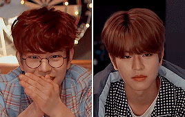 Liev: April 2018 / December 2019