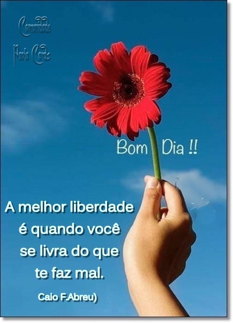 9da168496391ab721dfb5853b64a9b67d0314bb2
