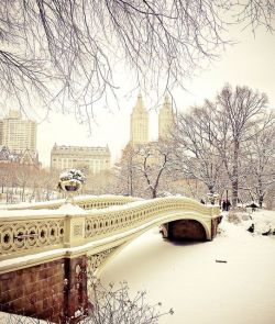 newyorkcityfeelings:  Snow at Bow Bridge, Central