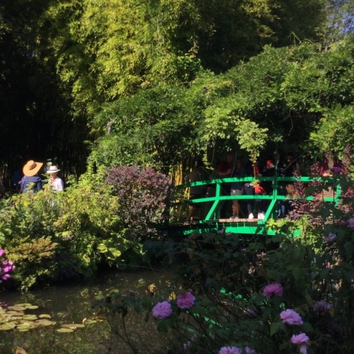 mypasalacqua: i still can’t believe i got to visit monet’s garden in giverny.. a dream c