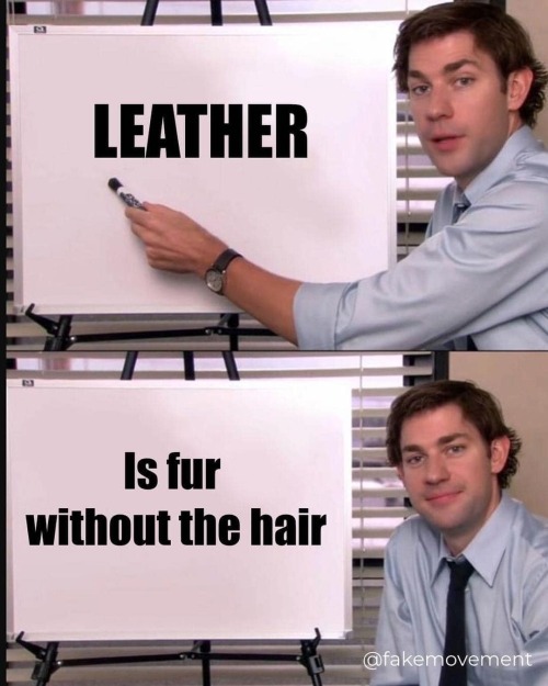 For anti fur leather wearing folks..Also a past post on leather here. 