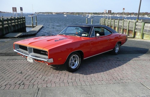 Muscle Cars Fans