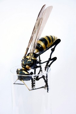 fer1972:  Insect Sculptures made from Junk