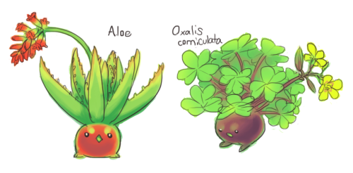 jayrockin:did some low energy oddish variations based on some of my favorite weeds