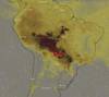 karlrincon:The Amazon Forest  produces more than 80 percentage the world’s oxygen and is home to more than half of the world’s species of plants, animals and insects. It has been burning for 3 weeks and we have just found out about it! The lungs of