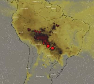 karlrincon:The Amazon Forest  produces more than 80 percentage the world’s oxygen and is home to more than half of the world’s species of plants, animals and insects. It has been burning for 3 weeks and we have just found out about it! The lungs of