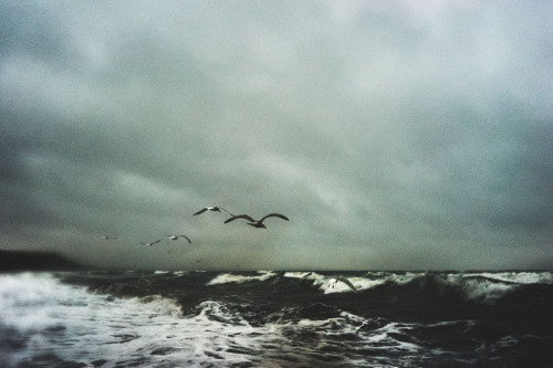 lining up against the storm