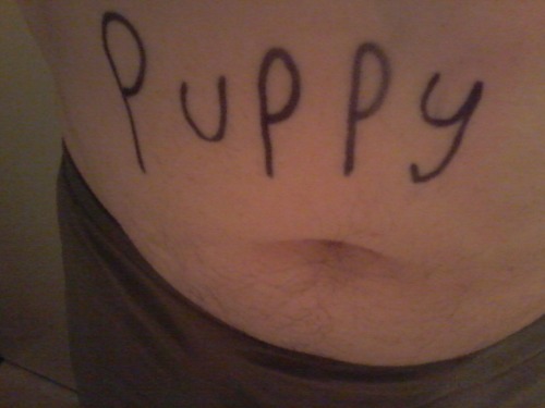 missfreudianslit:  stupidlittlepuppy:  Hi! This blog is co-owned by my trainer, missfreudianslit! She’s writing this out for me so everyone will see what I am- a pathetic little doggie!You will all be hearing about my exploits as I am trained over