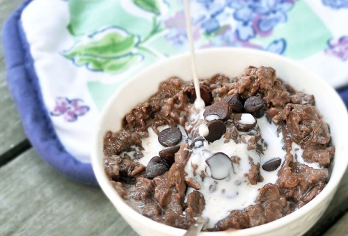 alloftheveganfood:  Vegan Oatmeal Round Up Cinnamon Roll Baked Oatmeal Five Minute Chocolate Oatmeal Bruleed Oatmeal with Berries & Almonds Blueberry-Coconut Baked Steel Cut Oatmeal Coconut Cookie Dough Oatmeal Wild Blueberry Chia Oatmeal Frappuccino