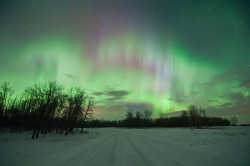 sapphire1707:  Elk Island Aurora by slickwilly182