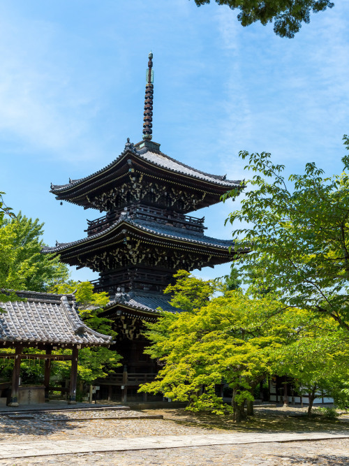 新緑の真如堂 ／ Shinnyo-do Temple by Yuya HorikawaVia Flickr:I want to introduce to the world, Kyoto views 