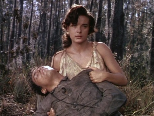 Lure of the Wilderness (1952)Das indische Grabmal (1958)