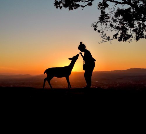 Lovely sunset shot by @photono_gen. Doesn’t this glow put you in autumn mood?