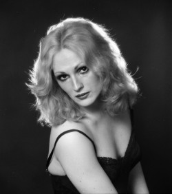 robertdarling:   Candy Darling Photography by Jack Mitchell/Getty Images  