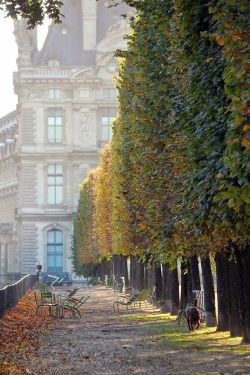 expression-venusia:Paris tulleries in t Expression