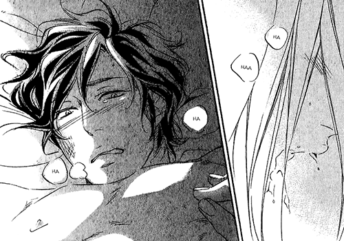 Edi's reading yaoi