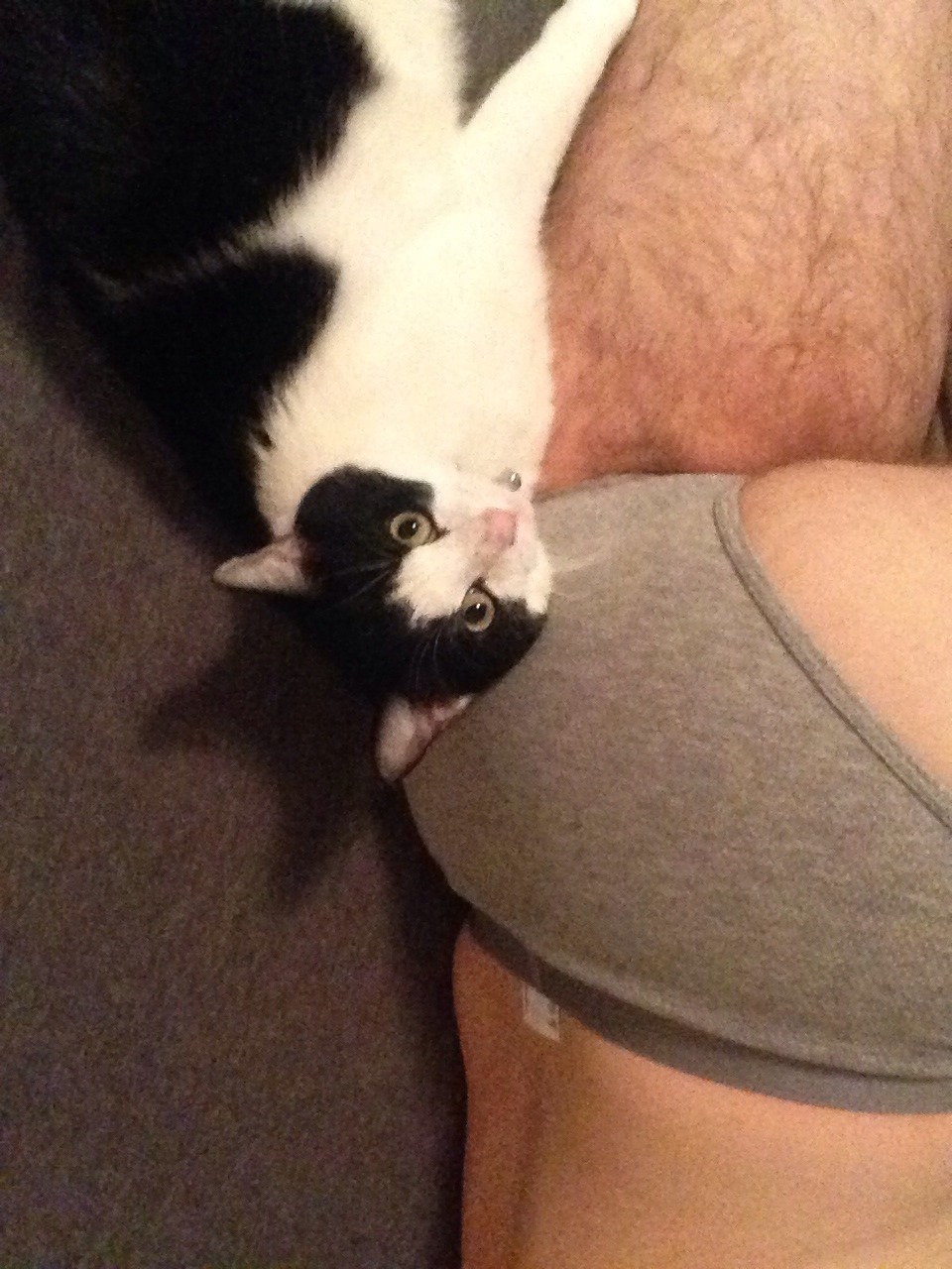 whyiamtellingyouaboutit:  He is so about my butt…