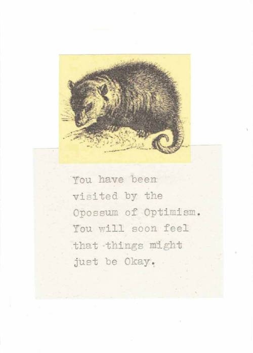 figdays:    Opossum Of Optimism Card // ModDessert