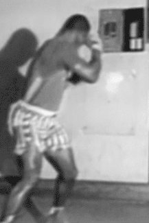 wujifighter:   A collection of my favorite Mike Tyson training gifs 