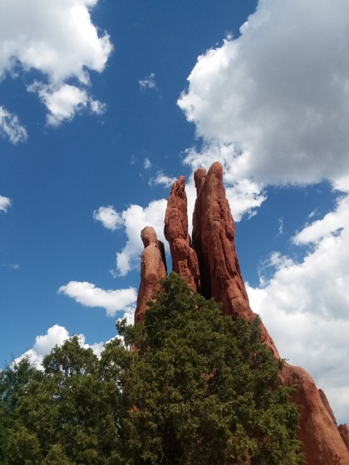 child-of-the-renaissance:Garden of the Gods