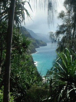 south-pacific:  ☼☀ follow south-pacific for