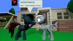 ask-the-out-buck-pony:Asked by david-gmodsfmrocks / GMODSFMROCKSx3