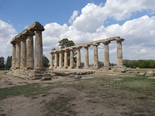 ancientgreecebuildings: Ruins of temple of Hera at Metaponto (6th century BCE) Archart has 40+ image